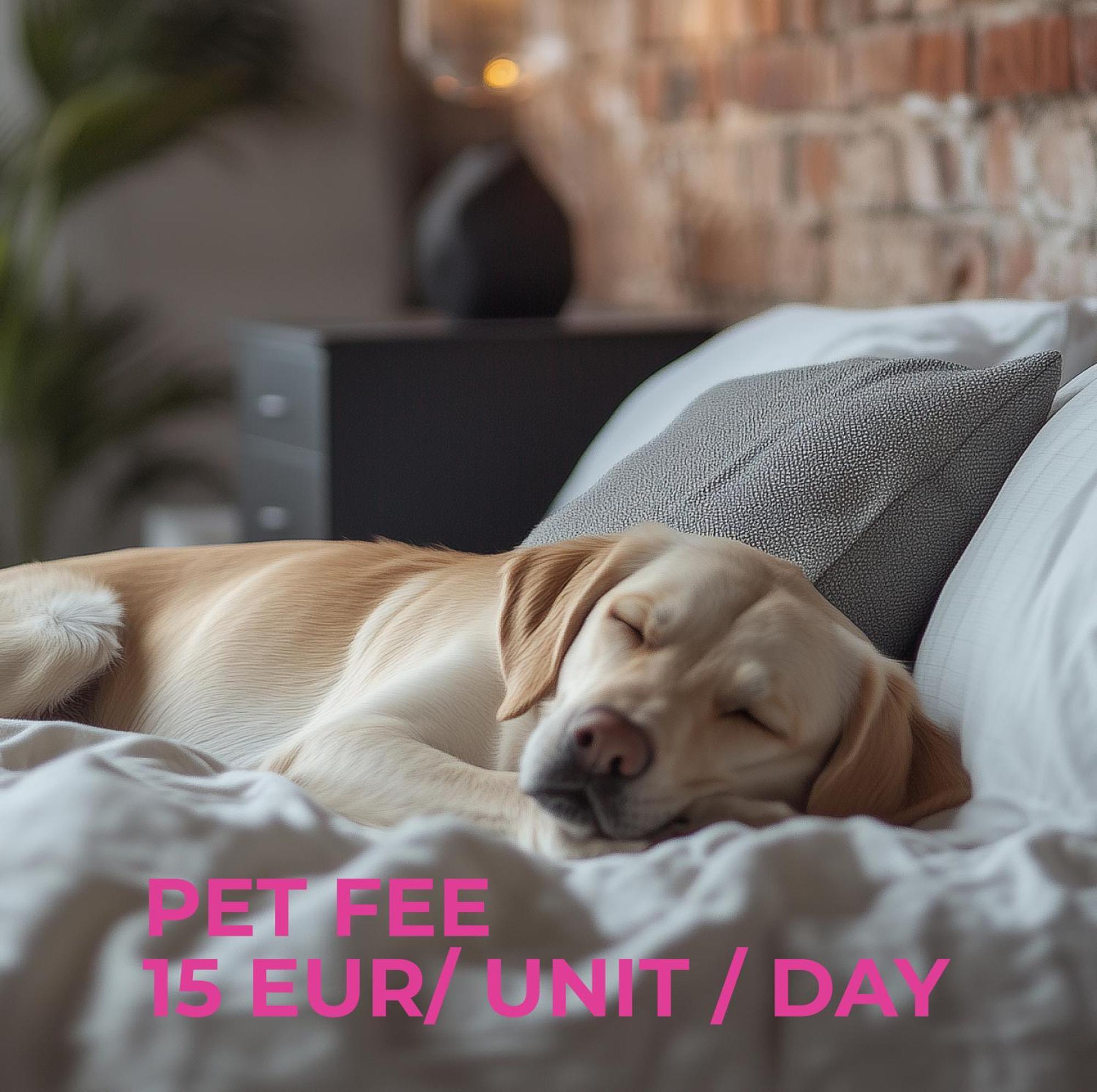 Cute Apartment Siauliai Free Parking エクステリア 写真